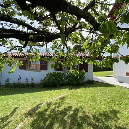 Calicho Bed and Breakfast Urrugne Exteriör bild
